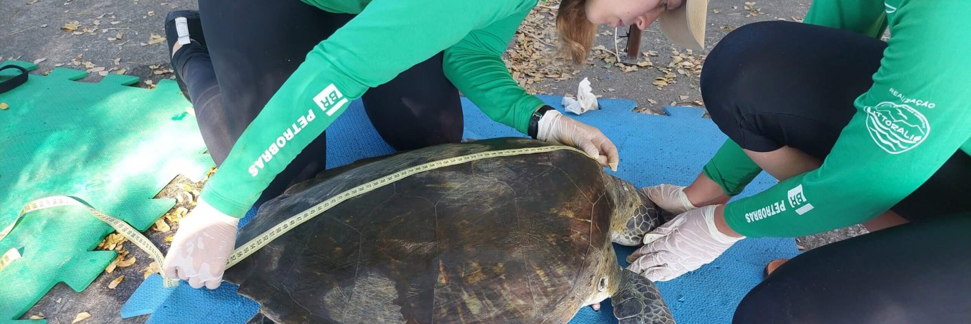 Foto 16_Monitoramento Marina da Glória_crédito divulgação Projeto Aruanã